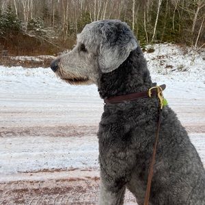 Meet your Posher, Carleigh